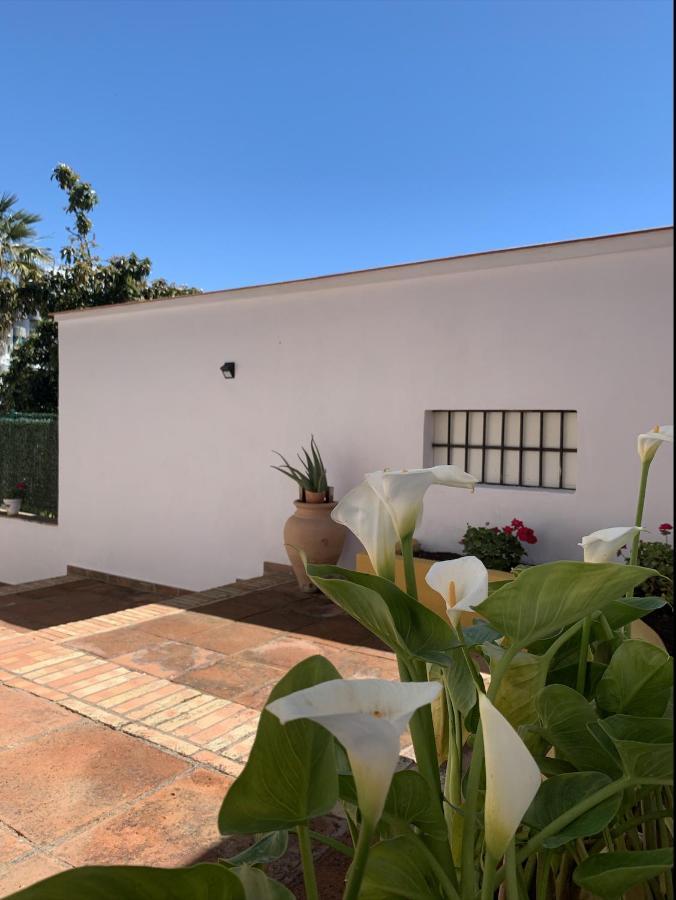 A Estrenar Preciosa Suite-Centrico-Con Jardin Y Porche Torremolinos Buitenkant foto